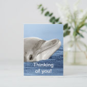 笑っているイルカ ポストカード (スタンド正面)