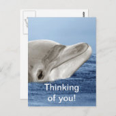 笑っているイルカ ポストカード (正面/裏面)