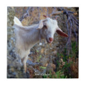 笑っているヤギ タイル (正面)