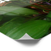 笑って太った知恵のことわざポスター ポスター (角)