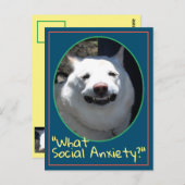 笑顔おもしろいの犬の柴犬どのような社会的不安 ポストカード (正面/裏面)