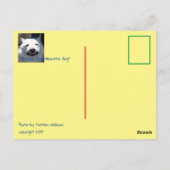 笑顔おもしろいの犬の柴犬どのような社会的不安 ポストカード (裏面)