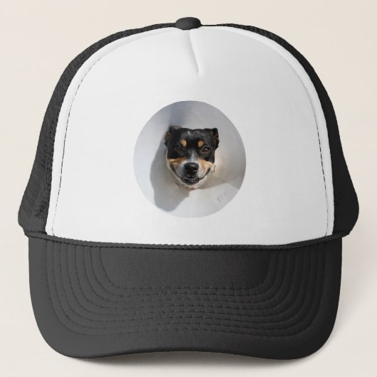 笑顔おもしろいの犬 キャップ (正面)