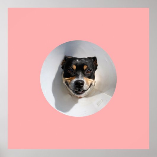 笑顔おもしろいの犬 ポスター (正面)