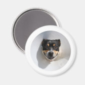 笑顔おもしろいの犬 マグネット (正面/裏面)