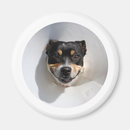 笑顔おもしろいの犬 マグネット (正面)