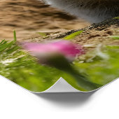 笑顔で現れるグラウンドホッグ ポスター (角)