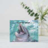 笑顔のイルカの葉書 ポストカード (スタンド正面)