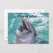 笑顔のイルカの葉書 ポストカード (正面/裏面)