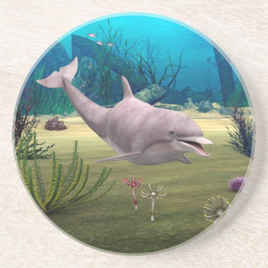 笑顔のイルカ コースター (正面)