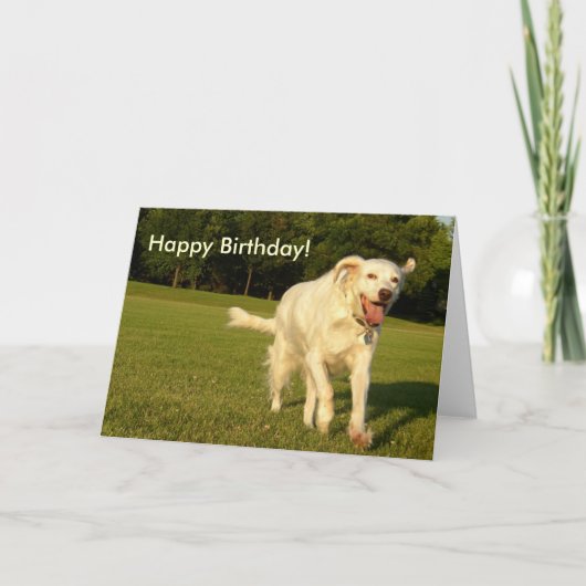 笑顔のエンジェルハッピーバースデー! カード (正面)