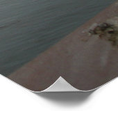 笑顔のカモメ ポスター (角)