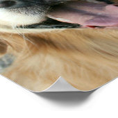 笑顔のゴールデンレトリエバーポスター ポスター (角)