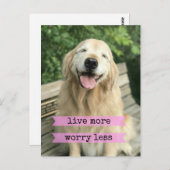 笑顔のゴールデンレトリバードッグより心配なく生きる ポストカード (正面/裏面)