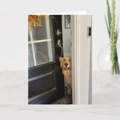 笑顔のゴールデンレトリバー犬のドアの外を覗くhi カード (正面)