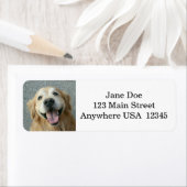 笑顔のゴールデンレトリバー ラベル (インサイチュ)