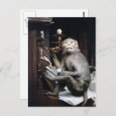 笑顔のサル ポストカード (正面/裏面)