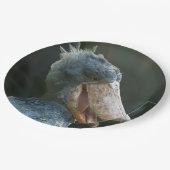 笑顔のシュービル ペーパープレート (アングル)