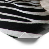 笑顔のゼブラポスター ポスター (角)