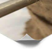 笑顔のバロのポスター ポスター (角)