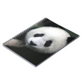 笑顔のパンダベア ノートブック (左側)