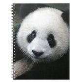 笑顔のパンダベア ノートブック (正面)