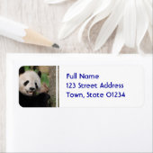 笑顔のパンダベア ラベル (インサイチュ)