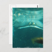 笑顔のヒッポポストカード ポストカード (正面/裏面)