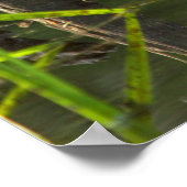 笑顔のビーバー ポスター (角)