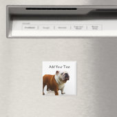 笑顔のブルドッグ マグネット (インサイチュ (食洗機))