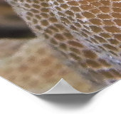 笑顔のブロニー ポスター (角)