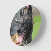 笑顔のベルギー・マリノワ・ドッグ ラウンド壁時計 (傾斜)