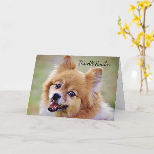 笑顔のポメラニア犬誕生日カード カード (黄色い花)