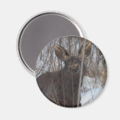 笑顔のムース マグネット (正面/裏面)