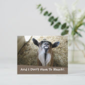 笑顔のヤギ ポストカード (スタンド正面)