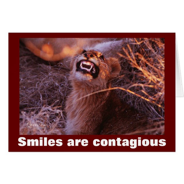 笑顔のライオンの仔スマイルが伝染する (正面横)