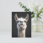 笑顔のラマ閉じる ポストカード (スタンド正面)