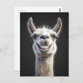 笑顔のラマ閉じる ポストカード (正面/裏面)