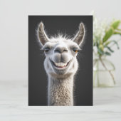 笑顔のラマ閉じる 招待状 (スタンド正面)