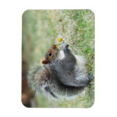 笑顔のリスとデイジー マグネット (縦)