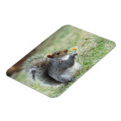 笑顔のリスとデイジー マグネット (左側)