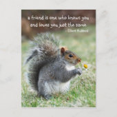 笑顔のリス友情引用文はがき ポストカード (正面)