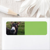 笑顔のロバのラベル ラベル (インサイチュ)