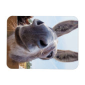 笑顔のロバ磁石 マグネット (横)