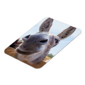 笑顔のロバ磁石 マグネット (左側)