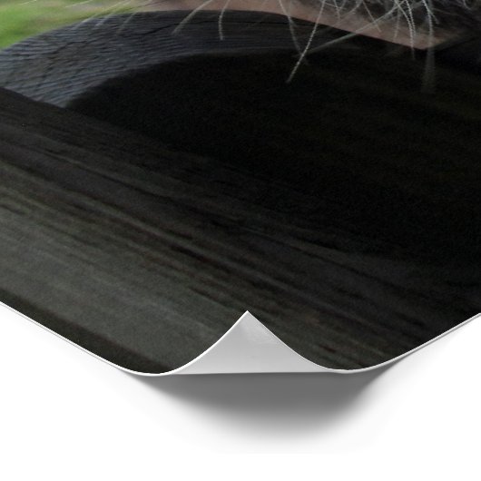 笑顔のロバ ポスター (角)