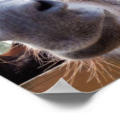 笑顔のロバ ポスター (角)