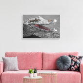 笑顔のワニとハエ キャンバスプリント (インサイチュ (リビング))