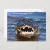 笑顔のワニ ポストカード (正面/裏面)