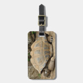 笑顔の亀 ラゲッジタグ (正面縦)